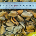 農場で育てられた新鮮な丸ごときれいにされたムール貝の肉砂なし粘土なし
